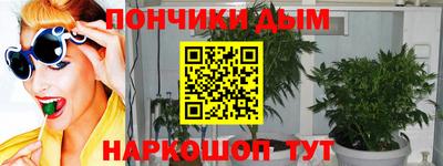 гидра Кинель