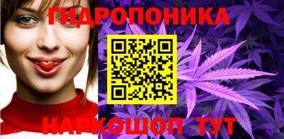 гидра Кинель