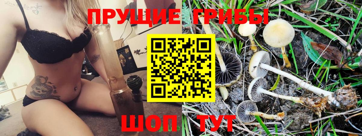 Галлюциногенные грибы Cubensis  хочу наркоту  Алапаевск  Вход с VPN 