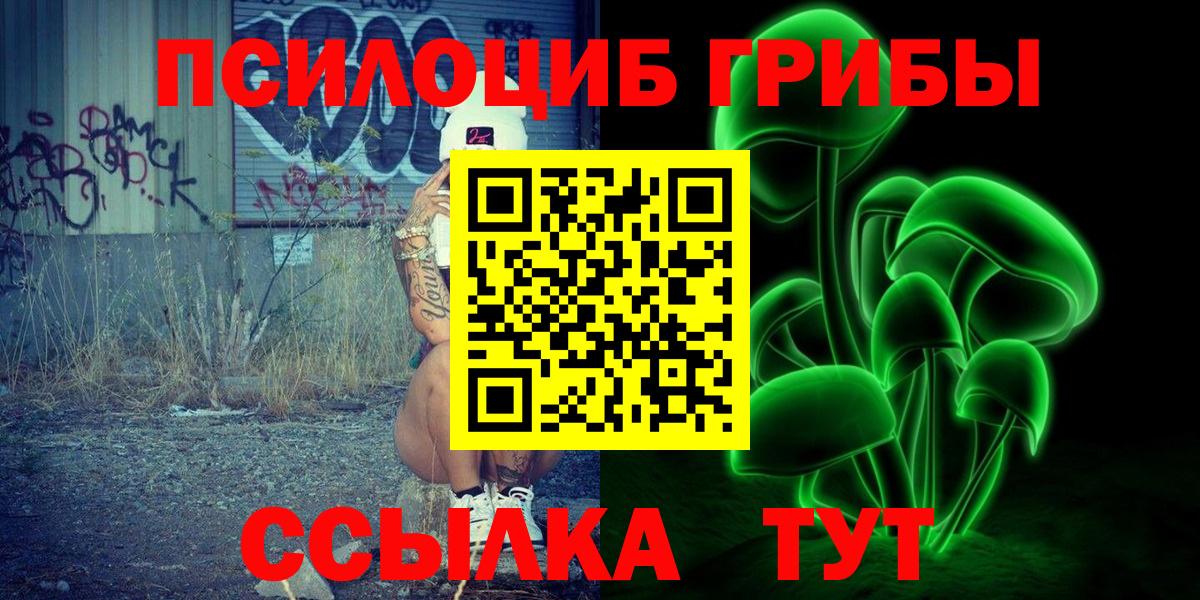 Псилоцибиновые грибы Psilocybine cubensis Алапаевск